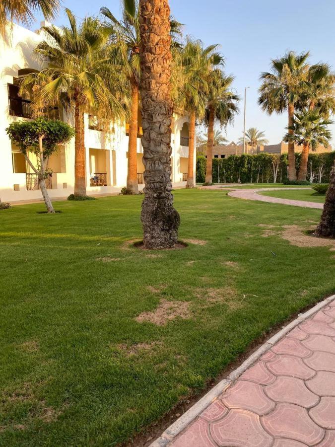 אתר נופש Xperience St. George Sheikh