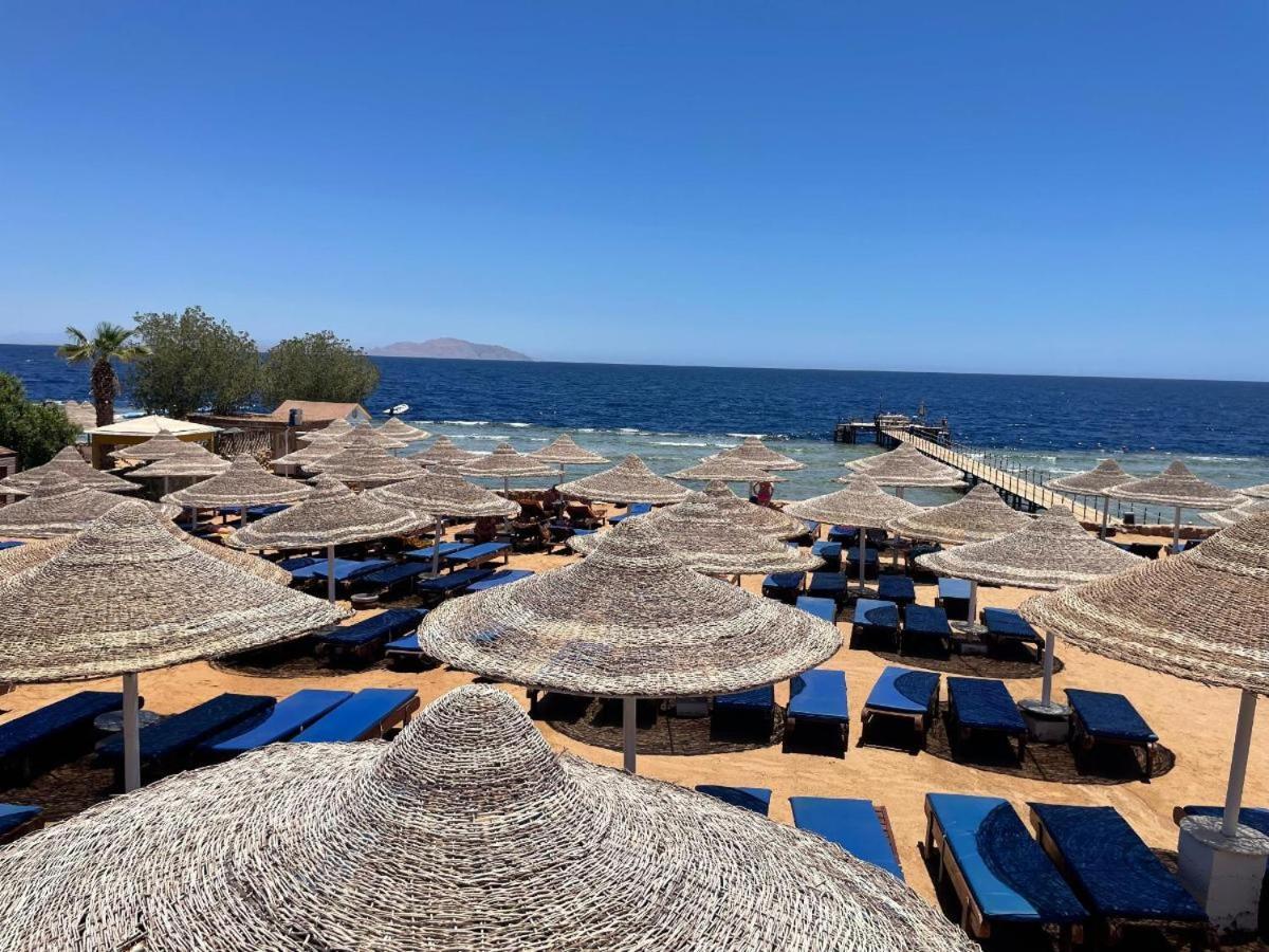 Rezort Xperience St. George Sheikh 4*
