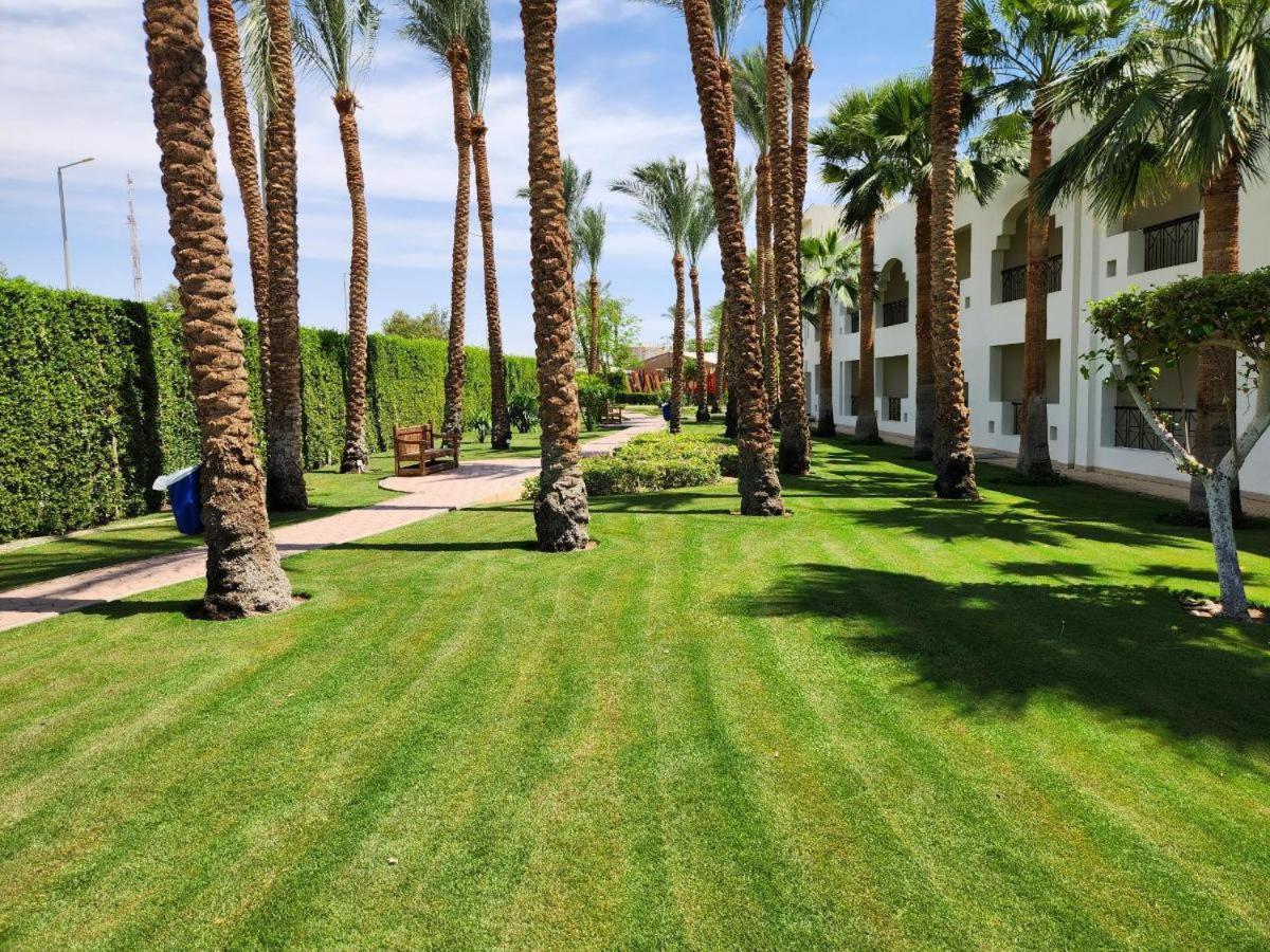 Xperience St. George Sheikh 4* Sharm El-Sheikh