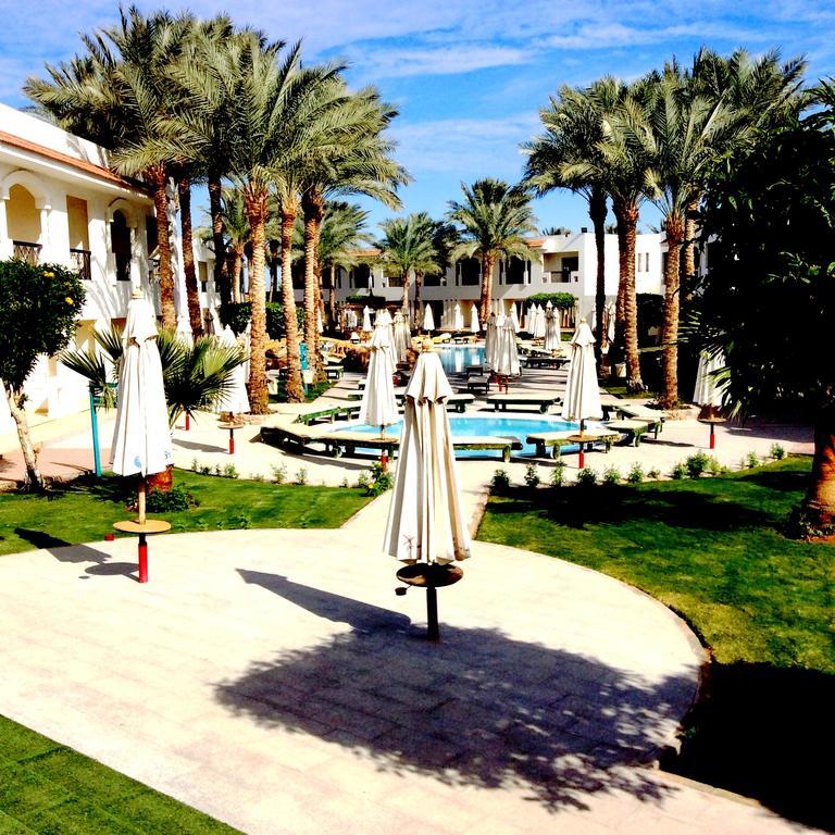 Rezort Xperience St. George Sheikh 4*